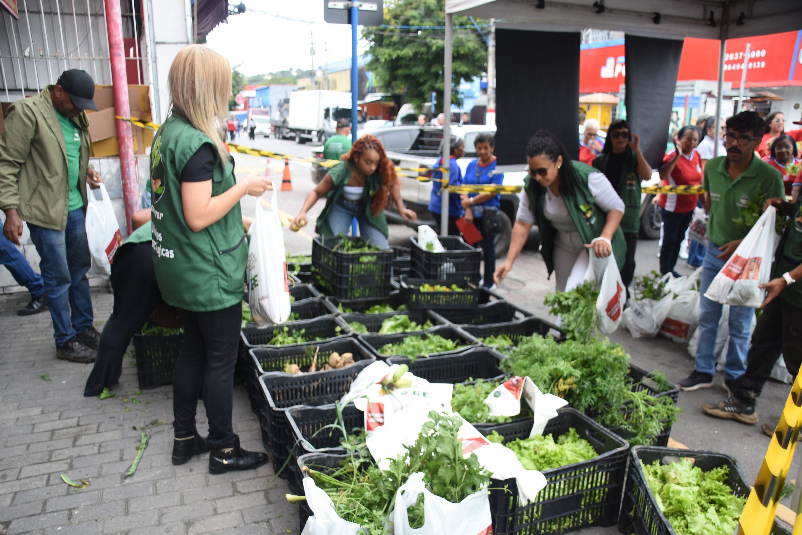 Foto: Clarildo Menezes