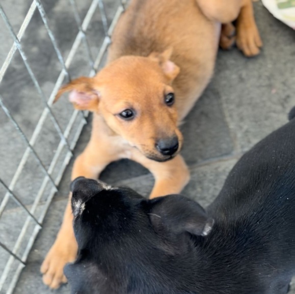 Foto: Divulga&ccedil;&atilde;o