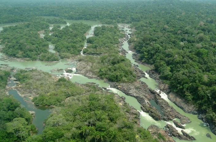 Floresta Nacional do Jamanxim/Foto: Divulga&ccedil;&atilde;o