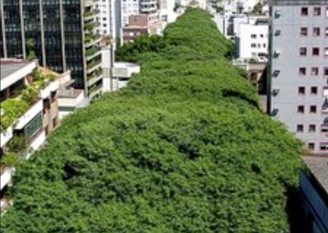 Vista panor&acirc;mica da Rua Gon&ccedil;alo de Carvalho/Foto: Divulga&ccedil;&atilde;o