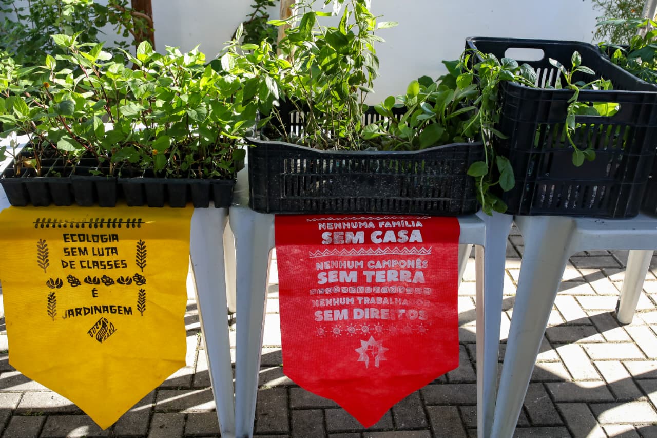 Foto: Elsson Campos