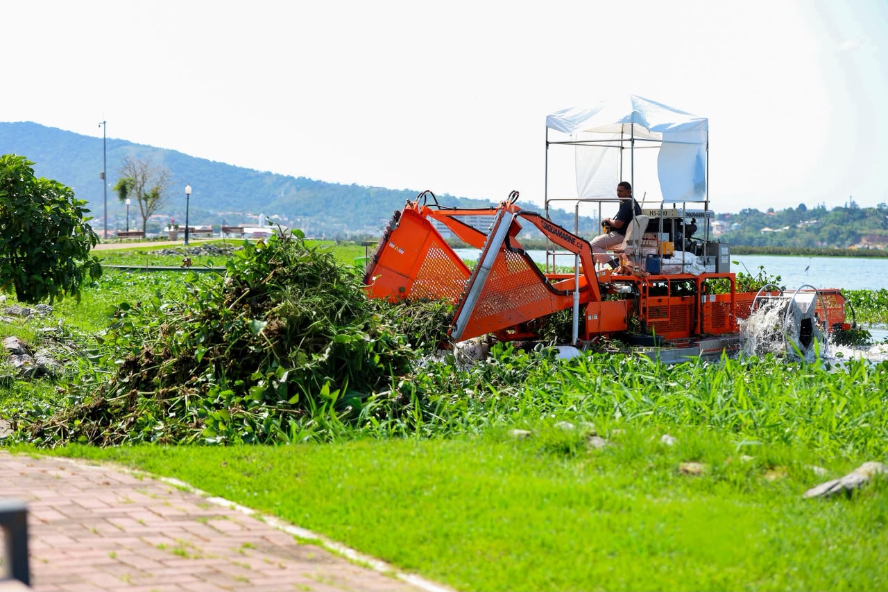 Foto: Divulga&ccedil;&atilde;o